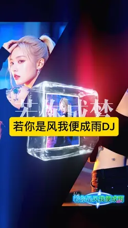 若你是风我便成雨DJ