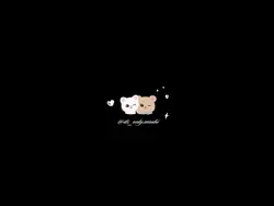 .✦ ݁˖ 𝒮  ‧₊˚ 🦢 ⋅
