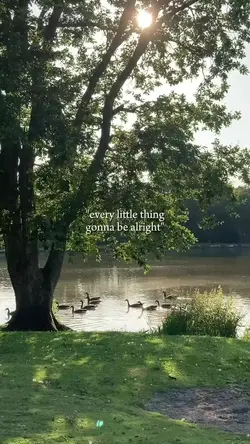 aesthetic moments