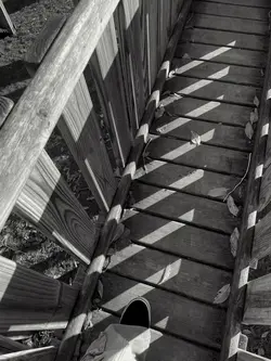 love me! love me!!<3