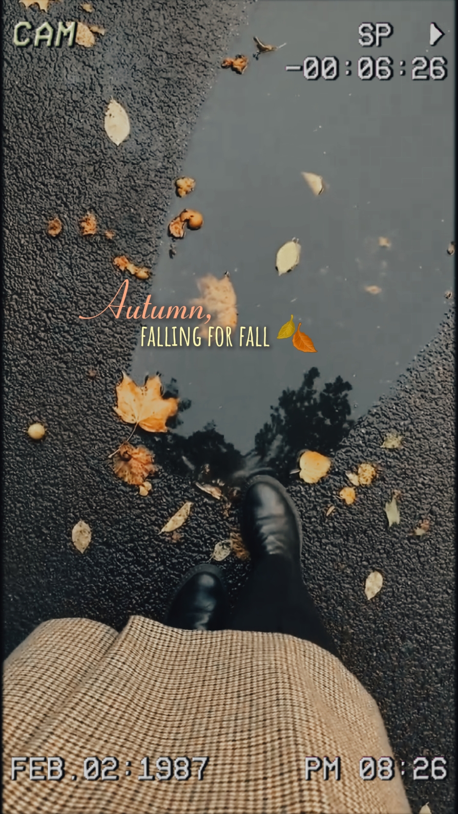 ambiance d'automne