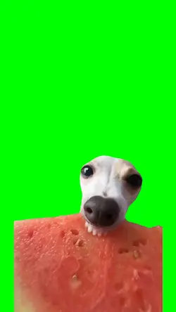 EATING WATERMELON