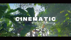 Cinematic Nature Aes