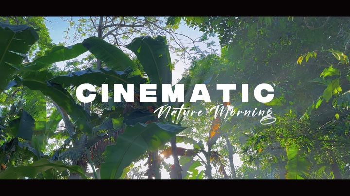 Naturaleza Cinemática Aes
