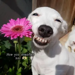 How you describe her