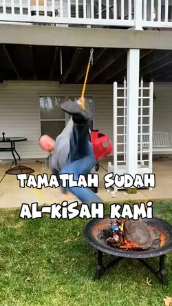 Tamatlah sudah