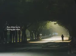 bao nhiêu lâu ta ko
