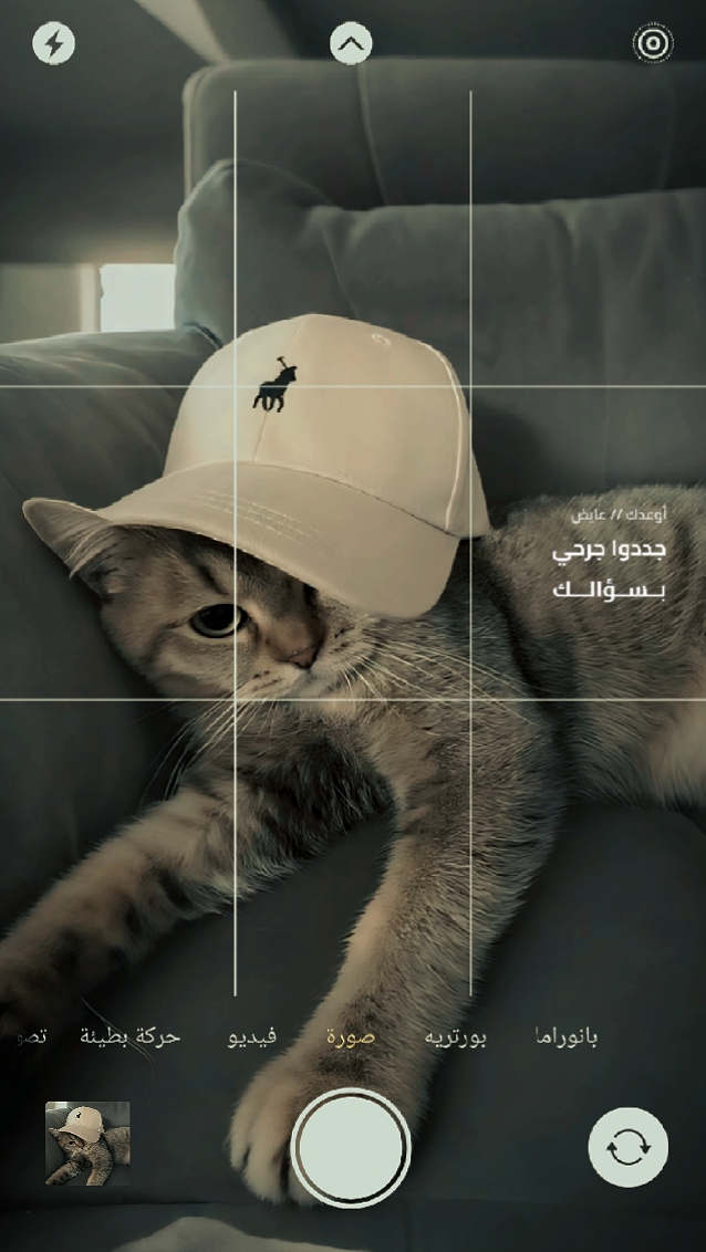 أوعدك