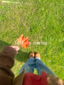Fall coming 
