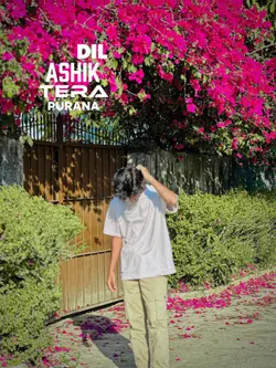 Ashik Dil Tera Puran