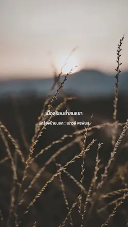 นักร้องบ้านนอก : เปาวลี 