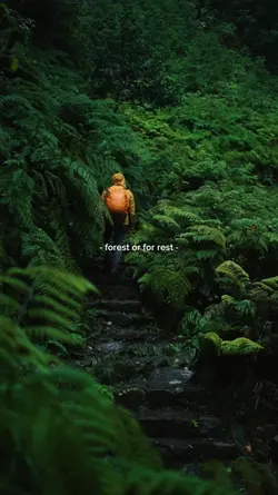 forest or for rest