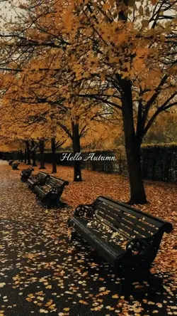 Hello autumn