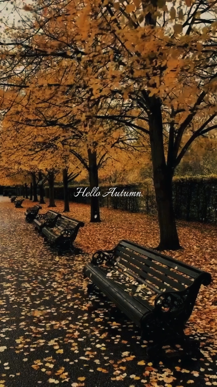 Hello autumn