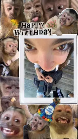 Aniversário zuada
