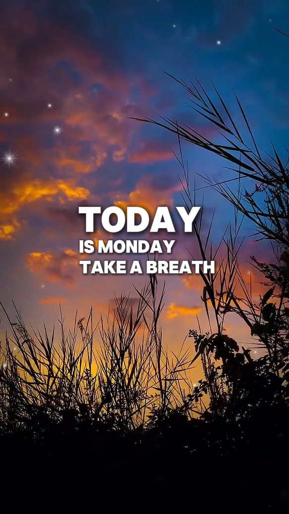 Monday Motivation