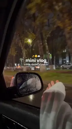 mini vlog