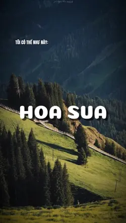 Bạn đã thay đổi như 