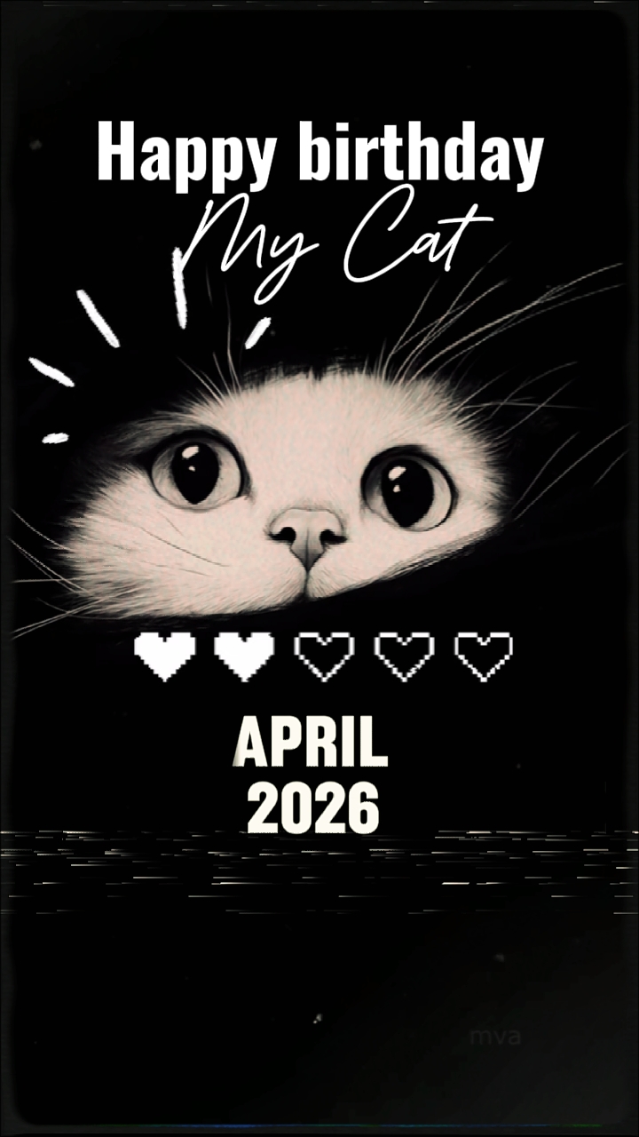 Hbd Cat's