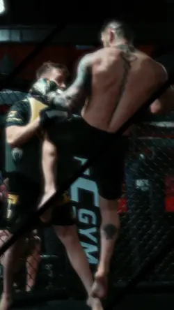 Expert Fight Templat