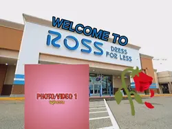 WELCOME TO ROSE 