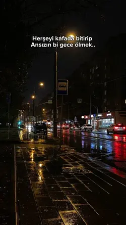 yeni sablonn