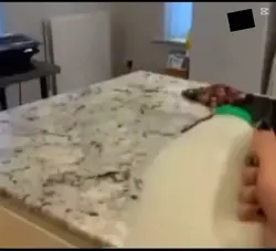 KOMİK ŞABLON