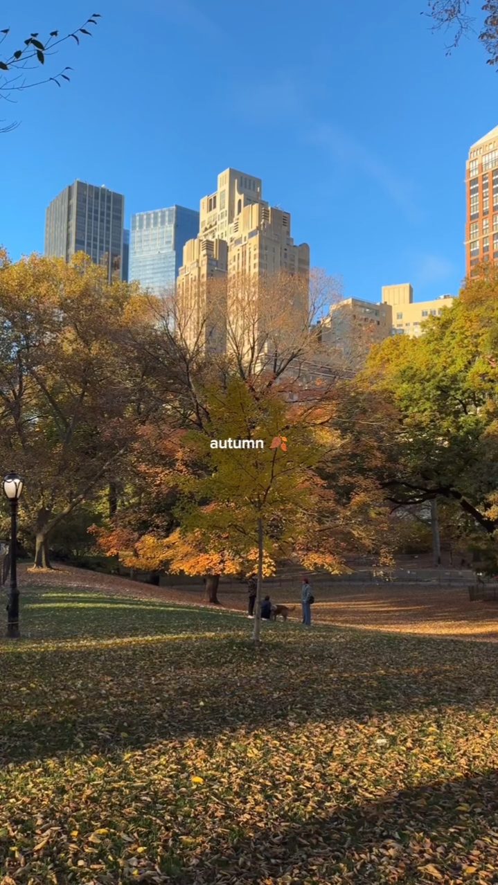 Autumn vibes