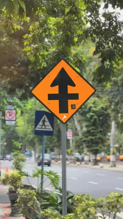 CINEMATIC SOUND KANE