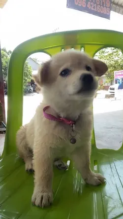 Kiki Cute 🥰