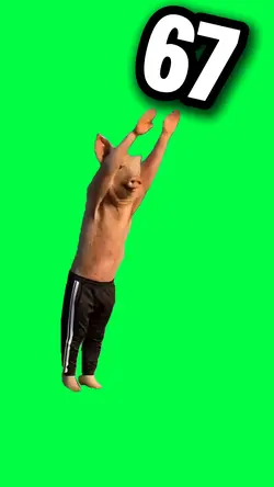 67 PIG DANCE