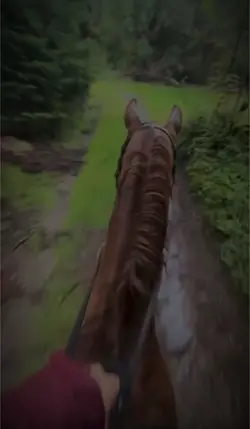 Horse slommo
