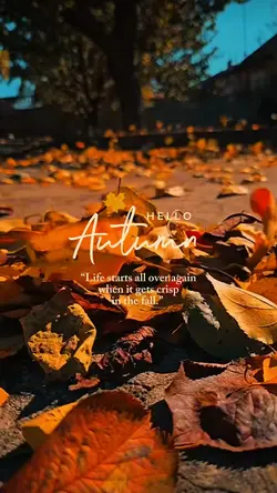 Hello Autumn 🍂