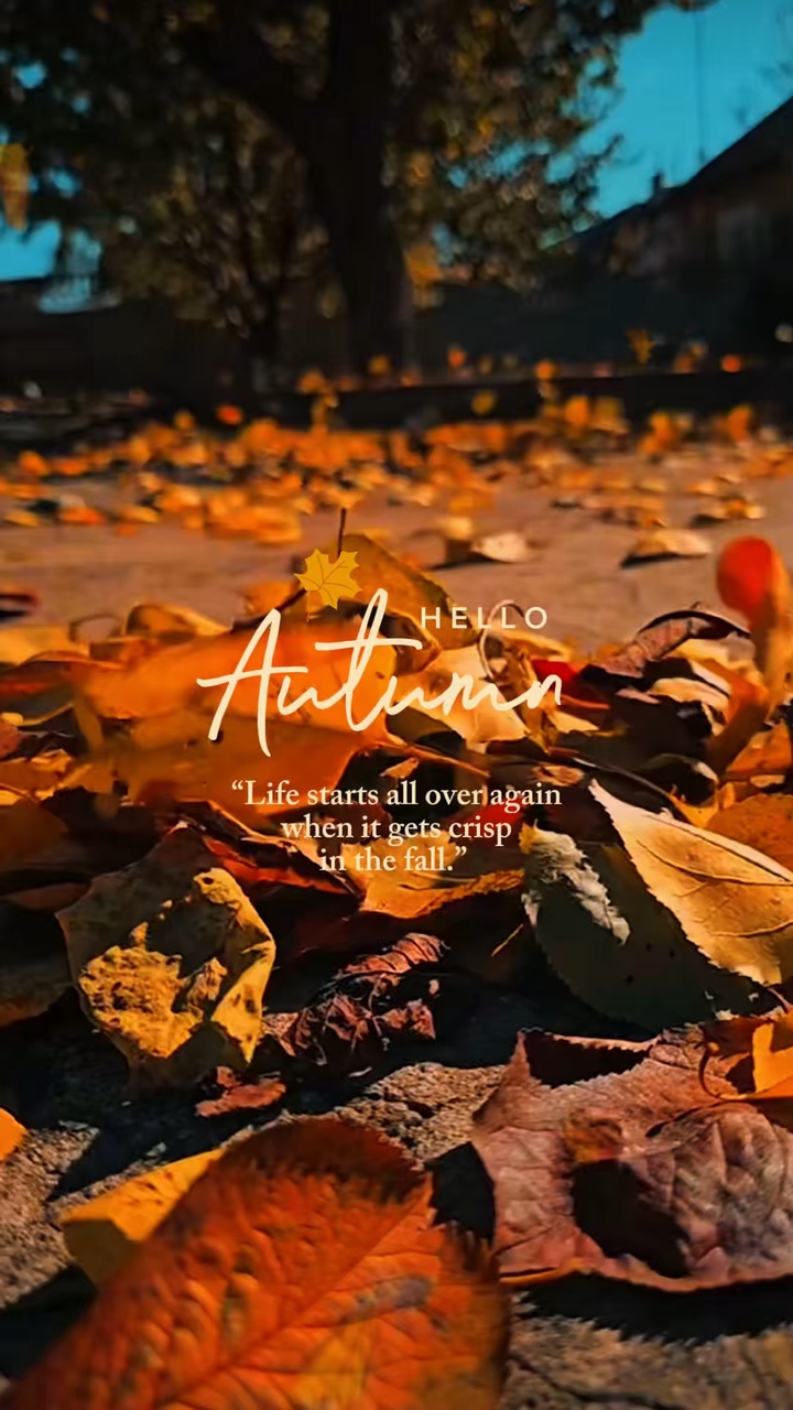 Olá Outono 🍂