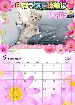 9月もよろしくお願いします①