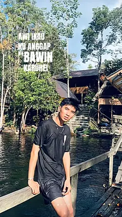 Putak maliut pulau