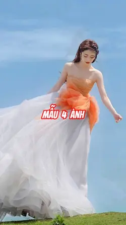 Mẫu 4 Ảnh