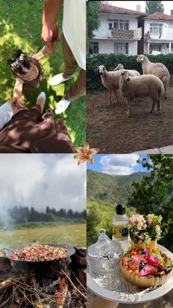 Kurban bayramı 