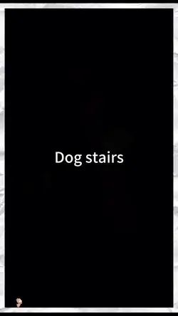 Dog stairs