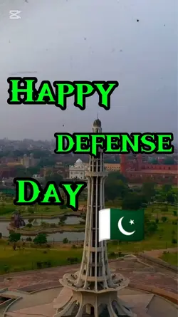 Happy Defense Day 