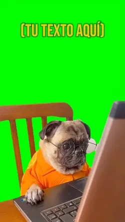 Perrito informático 