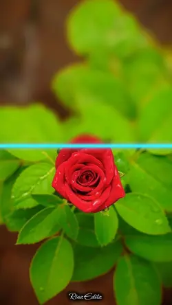 picture 4k quality