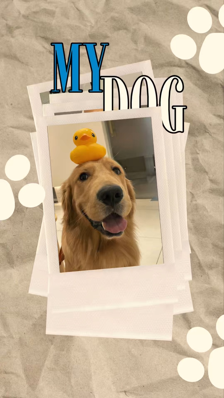 Foto del vertedero de perros