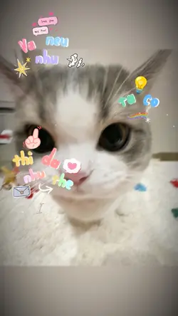 và neu nhu taco phep