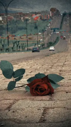 Yeni şablon