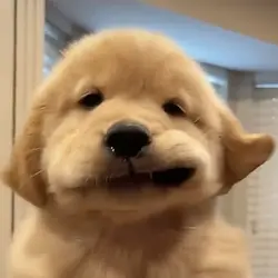 사진을 맞춰보세요!