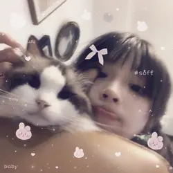 ver 2