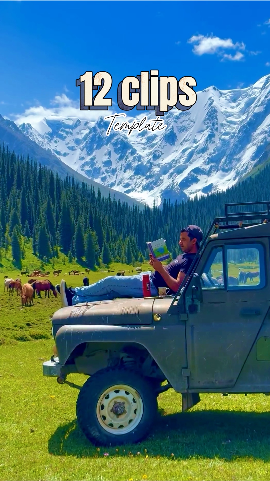 Cover Picture