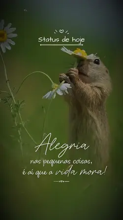 Status do dia 