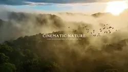 Cinematic Nature